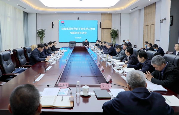 陕煤集团向导班子召开党史学习教育专题民主生涯会 -  江苏恒神股份有限公司