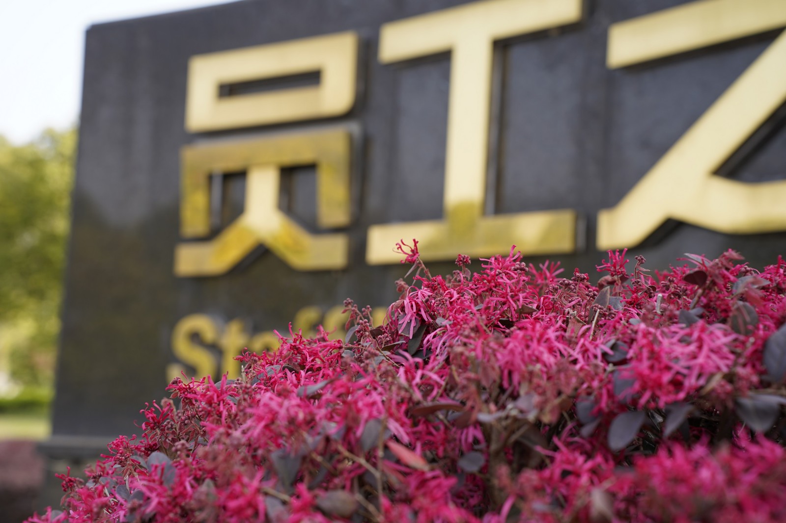 在恒神，，，与春天萍水相逢 -  江苏恒神股份有限公司