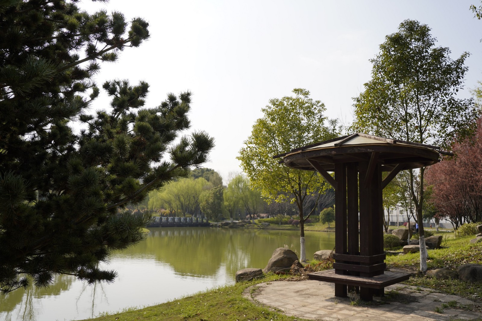 在恒神，，，与春天萍水相逢 -  江苏恒神股份有限公司